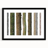 Extra large abstract art print of colorful, textured trees on a black framed canvas, ideal for living room decor.