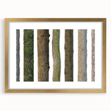 Extra large abstract art print of close-up tree textures in gold frame, suited for living room decor.