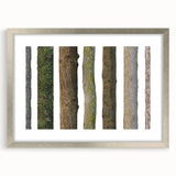 Textured art print of abstract tree designs in earth tones on a silver-framed mat, suitable for bedroom decor.