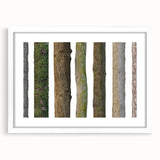 Abstract art print of close-up tree branches in grayscale on a white framed canvas.