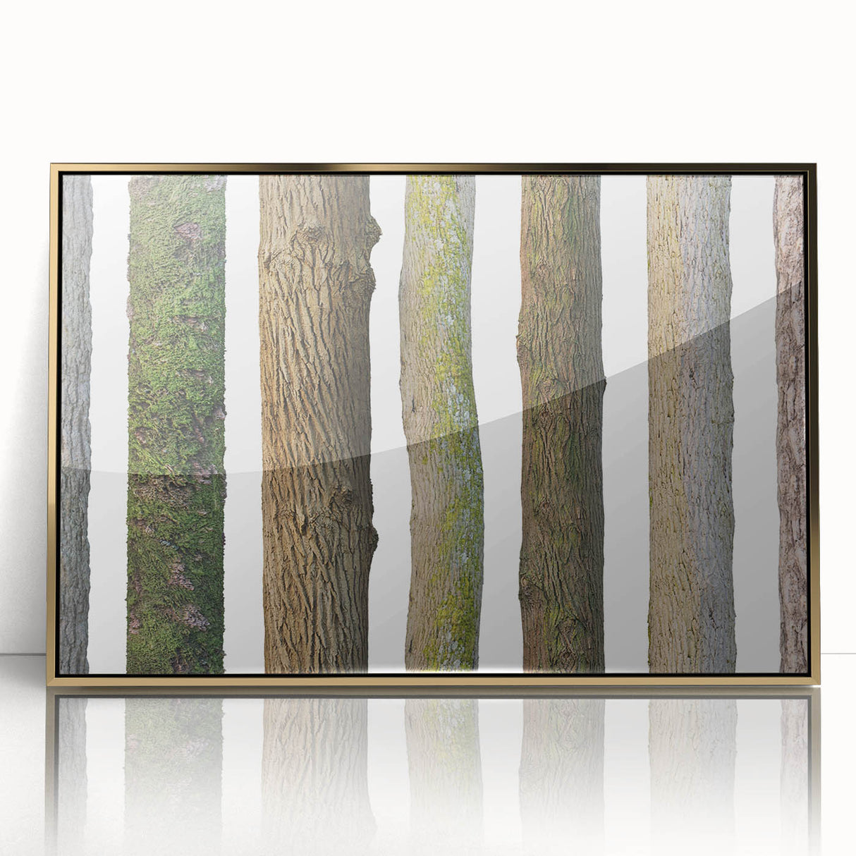 Mid-century modernist style large art print of close-up tree designs, framed in gold acrylic, ideal for nursery wall decor.
