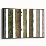 Black and white wall art featuring a close-up view of tree textures on framed canvas, suitable for bedroom decor.
