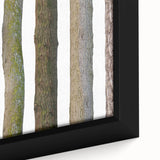 Close-up of a textured tree bark on extra large framed canvas, featuring black and colorful art, ideal for living room decor.
