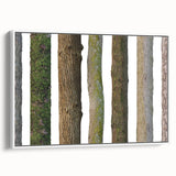 Extra large framed canvas featuring a close-up of trees in vintage poster art style.