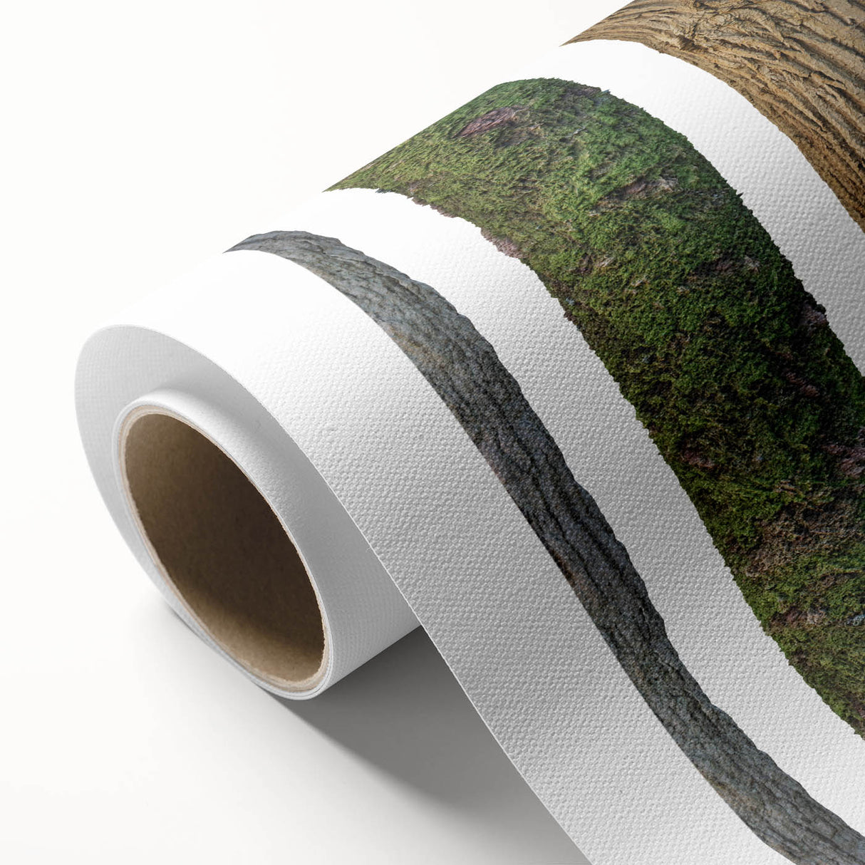 Art deco poster of stylized trees in muted green and brown tones on rolled canvas, suitable as nursery wall art.