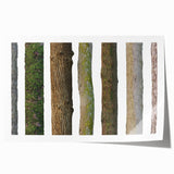 Close-up image of a tree's bark on a rolled canvas, featuring detailed textures in earthy brown tones.