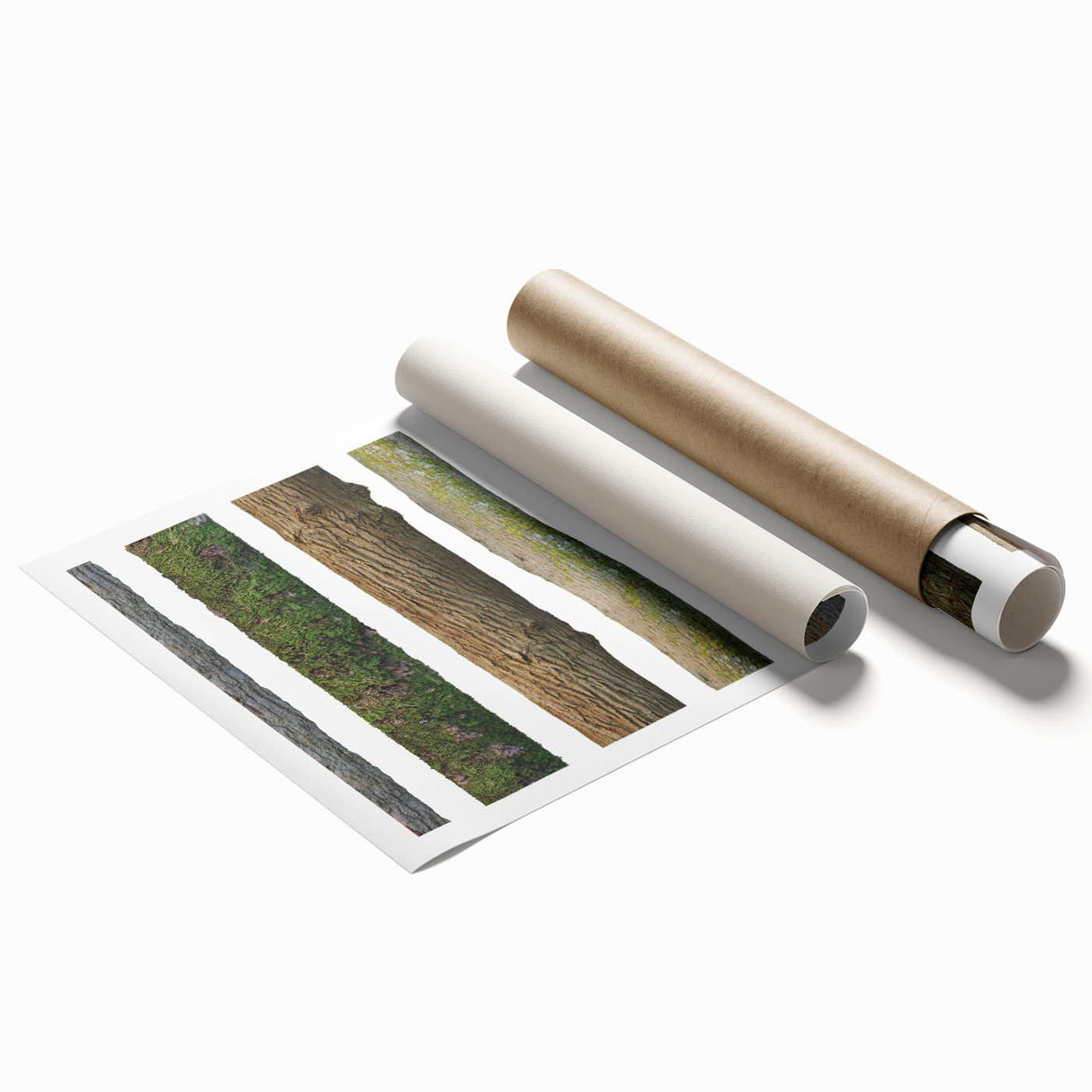 Extra large rolled print of close-up tree branches in muted green tones.