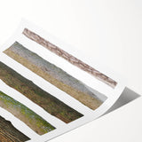 Extra large wall art featuring line art flowers on a rolled print, using a monochrome palette.