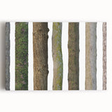 Black and white close-up photo of tree bark on a stretched canvas, ideal for kitchen wall art.