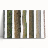 Black and white close-up photo of tree bark textures on stretched canvas.