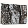 Close-up of tree bark texture in earthy brown tones on acrylic glass, suited for dining room or bedroom wall art.