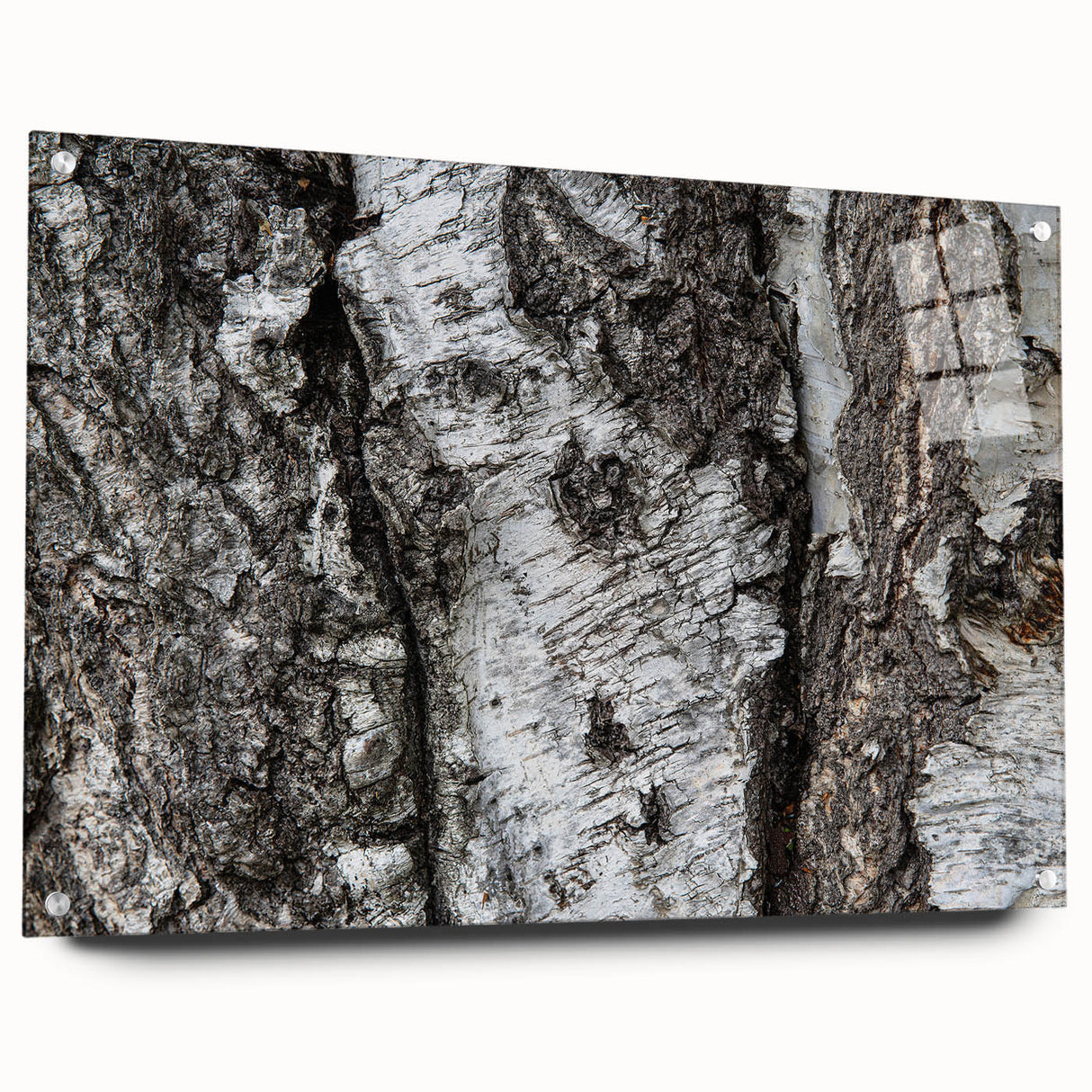 Close-up of tree bark texture in earthy brown tones on acrylic glass, suited for dining room or bedroom wall art.