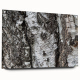 Close-up of tree bark texture in earthy brown tones on acrylic glass, suited for dining room or bedroom wall art.