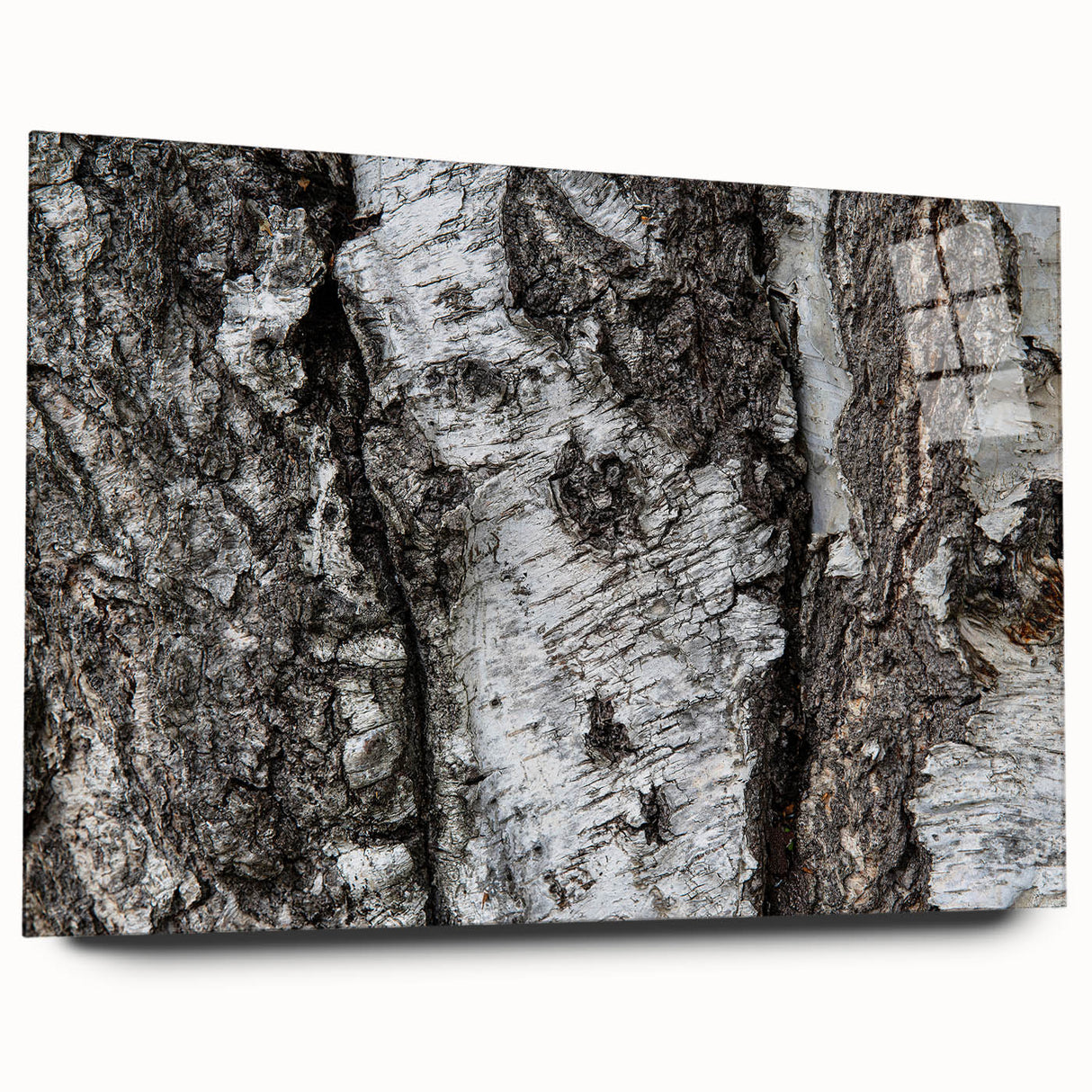 Large abstract wall art on acrylic glass featuring close-up tree designs in earthy tones.