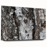 Large abstract wall art on acrylic glass featuring close-up tree designs in earthy tones.