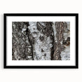Extra large abstract art print of colorful, textured trees, presented in a black frame with mat, ideal for living room decor.