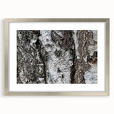 Textured art print of abstract tree close-ups in silver frame, ideal for bedroom ambiance.