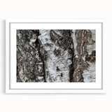 Abstract art print featuring close-up of trees in muted green and brown tones, framed with a white mat.