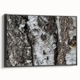 Black and white framed canvas depicting close-up tree branches, ideal for bedroom wall art with a vintage poster style.