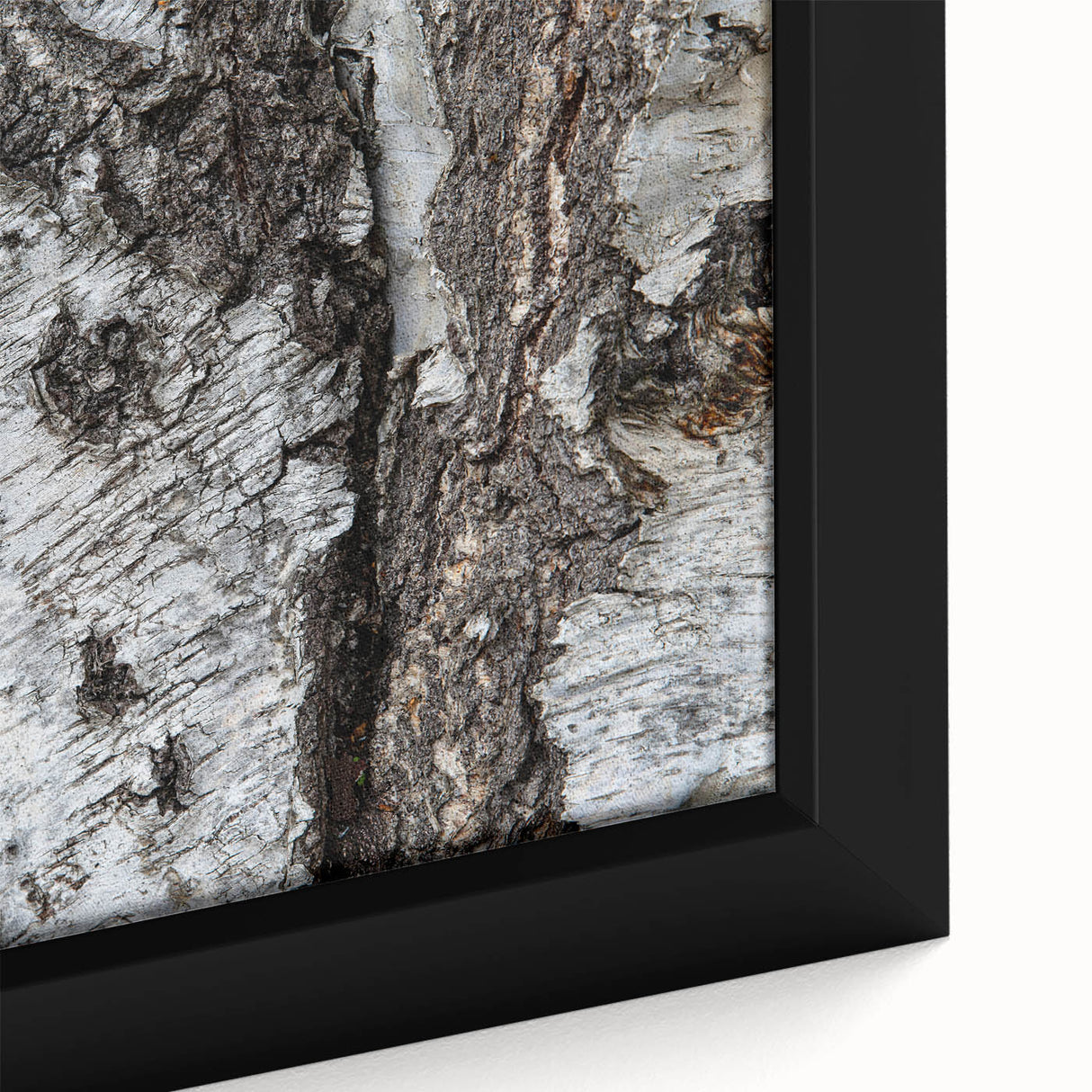 Close-up black wall art of trees, textured with vibrant colors on a framed canvas, ideal for living room decor.