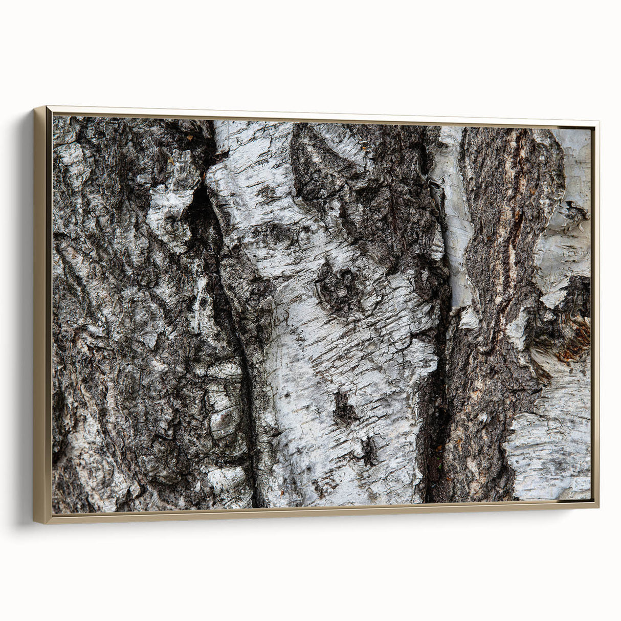 Framed canvas featuring a close-up view of tree trunks in muted gold and black tones, ideal for bedroom wall decor.