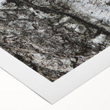 Art deco poster featuring close-up of tree branches on a rolled canvas, suitable for dining room wall art.