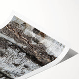 Extra large wall art of line art flowers in black on white, rolled print format, ideal for large living room decor.