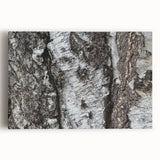 Black and white close-up photo of tree bark on stretched canvas, ideal for kitchen wall art.