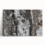 Black and white close-up photo of tree bark on stretched canvas, ideal for kitchen wall art or bedroom ambiance.