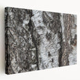 Close-up of tree bark on a large stretched canvas, displaying intricate textures in earthy tones, ideal for kitchen wall art.