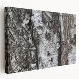 Close-up of tree bark on a large stretched canvas, displaying intricate textures in earthy tones, ideal for kitchen wall art.