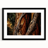 Extra large abstract art print featuring colorful, textured tree close-ups on a black framed canvas.