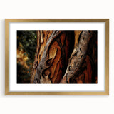 Extra large abstract art print of textured trees in gold frame, using earth tones, ideal for living room decor.
