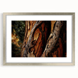 Abstract textured art print depicting close-up tree bark in grayscale, presented in a silver frame with mat.