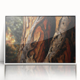 Acrylic print of close-up tree branches in monochrome, framed in white, suitable for modern nursery decor.