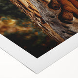 Art deco poster featuring close-up of trees on rolled canvas, ideal for dining room wall art.