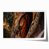 Close-up of tree branches in muted green and brown tones on extra large rolled canvas.