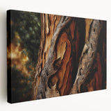 Close-up of tree bark on a large stretched canvas, featuring detailed textures in earth tones, suitable for kitchen wall art.