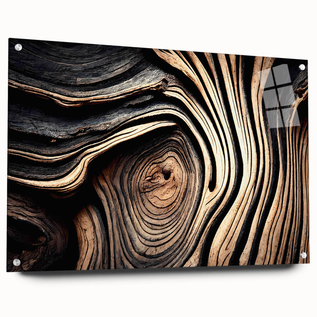 Close-up of tree bark in muted earth tones on large acrylic glass, suitable for bedroom or dining room decor.