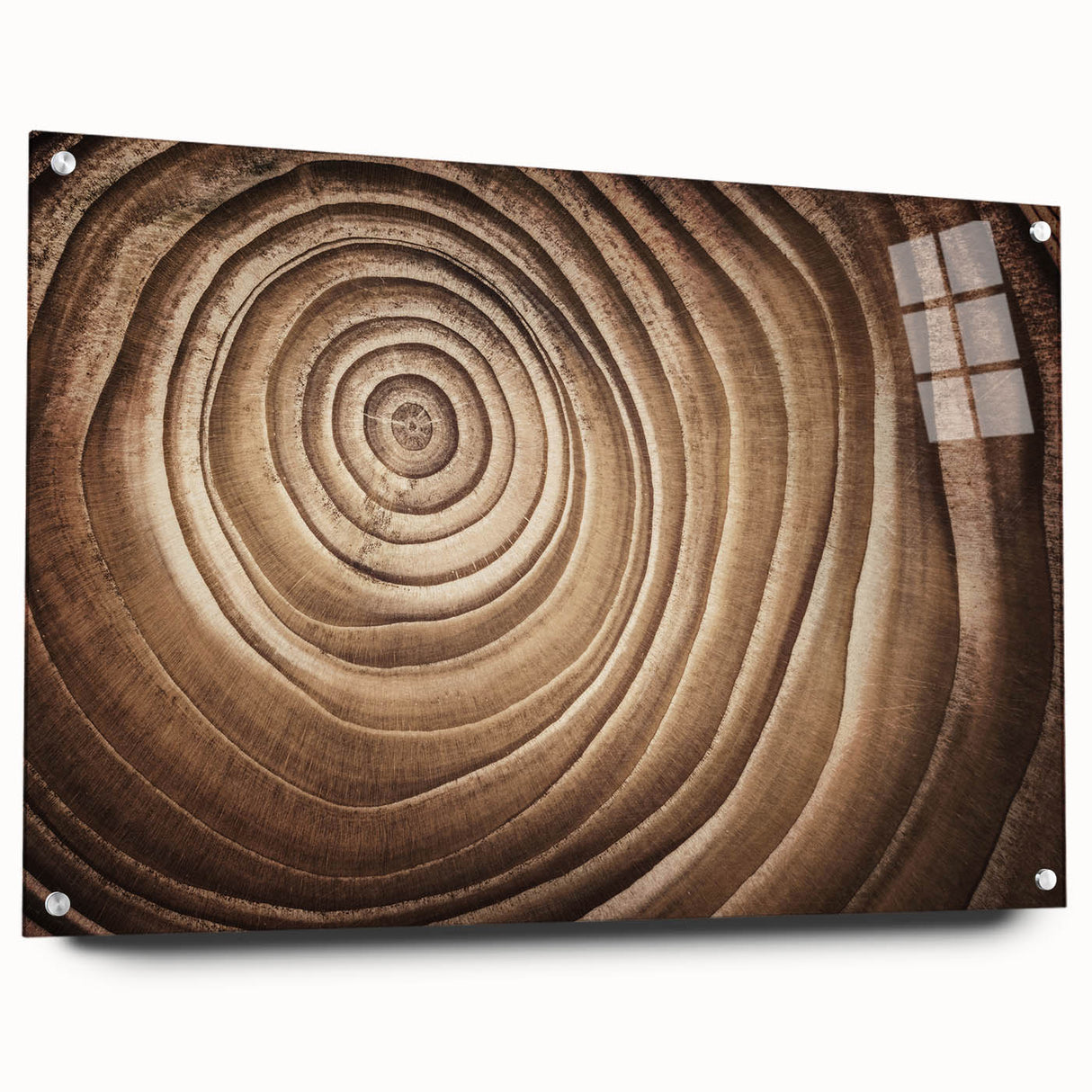 Close-up of trees in large abstract wall art on acrylic glass, featuring green and brown tones.
