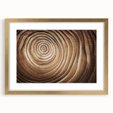 Extra large abstract art print of close-up tree textures in gold frame, ideal for living room decor.