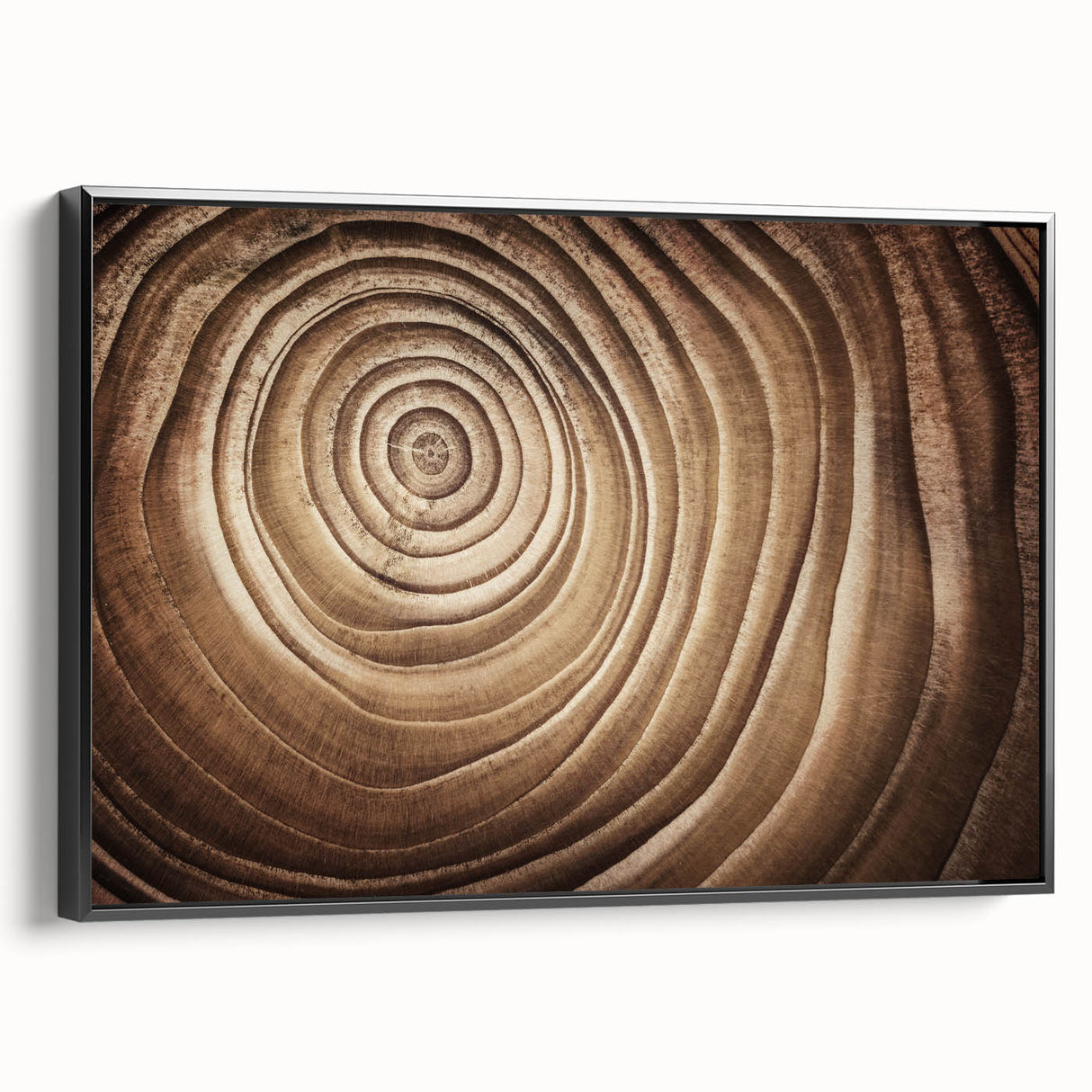 Black and white framed canvas featuring close-up of trees, ideal for bedroom wall decor with a vintage poster art style.