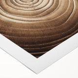 Art deco poster featuring a close-up of tree branches on a rolled canvas, in muted earth tones.