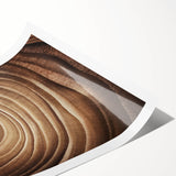 Extra large wall art featuring line art flowers on a white background, ideal for large living room decor.