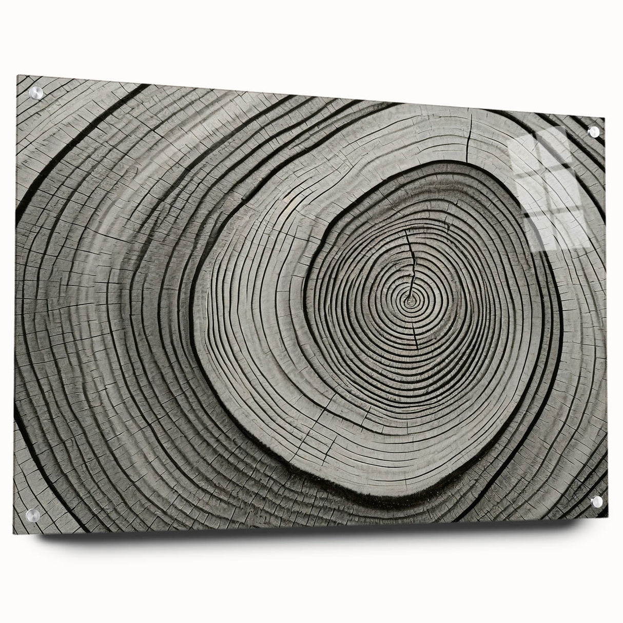 Acrylic print of close-up tree bark in natural tones, suitable for bedroom or dining room decor.