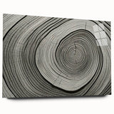 Acrylic glass print of close-up tree branches in muted green and brown, ideal for bedroom or dining room art.