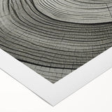 Art deco poster featuring close-up view of tree bark on a rolled canvas, suitable for dining room wall art.