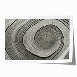 Close-up of tree bark in natural hues on a rolled canvas, ideal for art wall dining room.