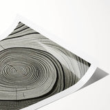 Extra large wall art featuring line art flowers on a rolled print, with muted green and brown tones.