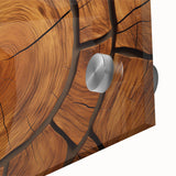 Close-up of tree rings in muted brown tones on acrylic glass, ideal for dining room art in a mid-century modernist style.